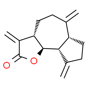 去氫木香內(nèi)酯